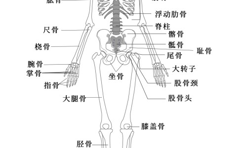 柴胡加生姜加冰糖有什么功效网柴胡和生姜能熬吗知识网站,分享生姜和柴胡煮水喝可以吗大全